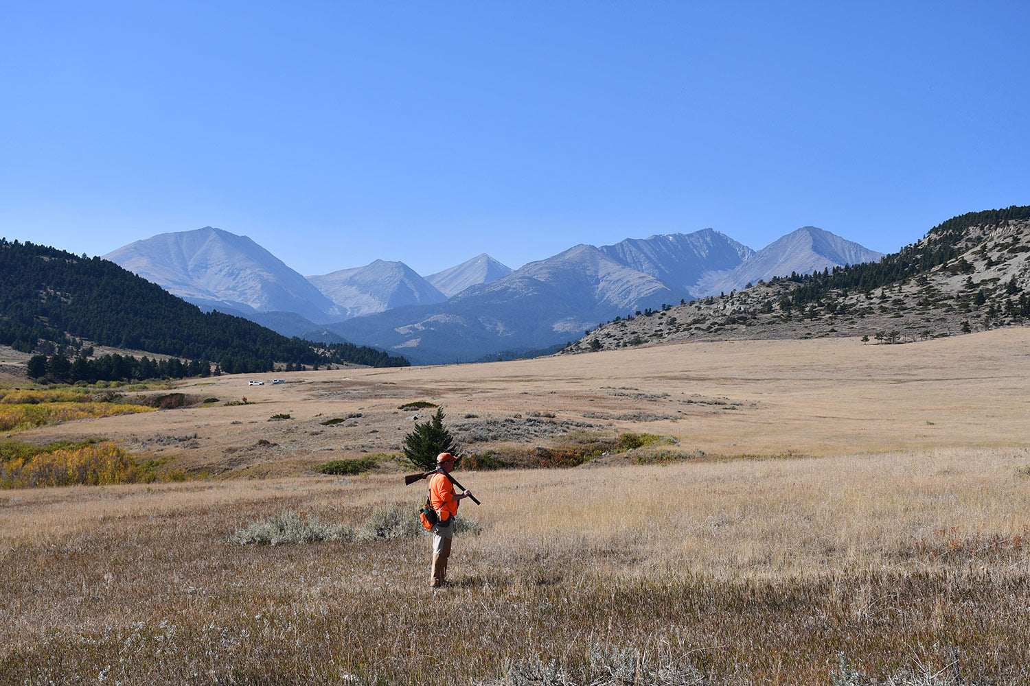 montana bird hunts upland bird hunting