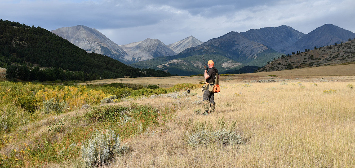 montana bird hunts upland bird hunting