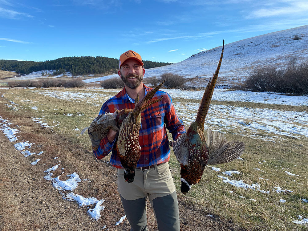 montana bird hunts upland bird hunting