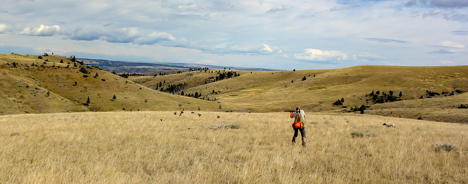 montana bird hunts upland bird hunting