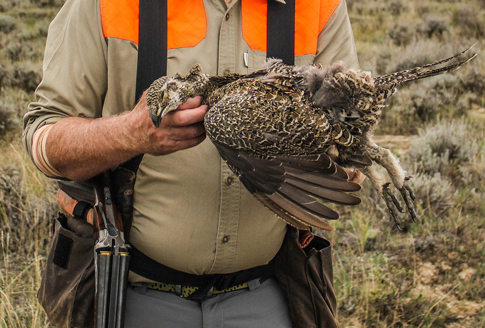 montana bird hunts upland bird hunting