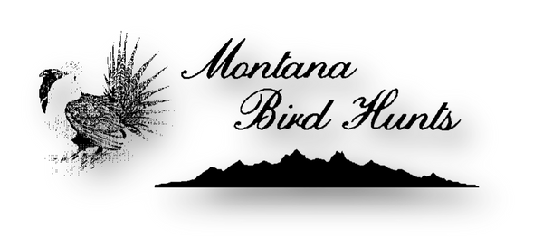 Montana Bird Hunts
